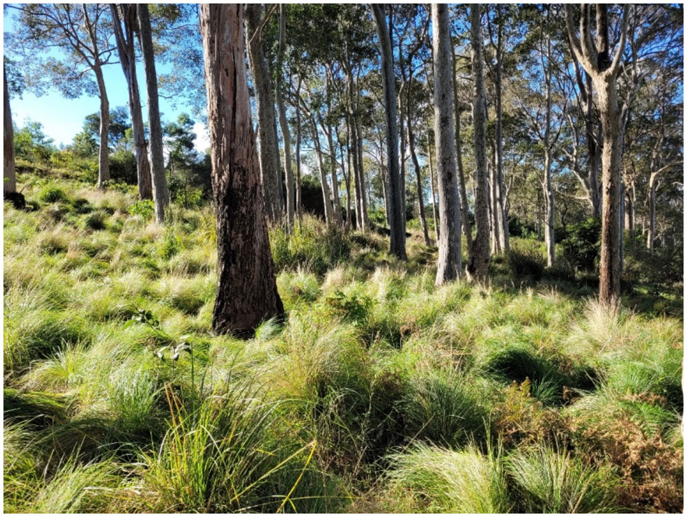 Image is not available